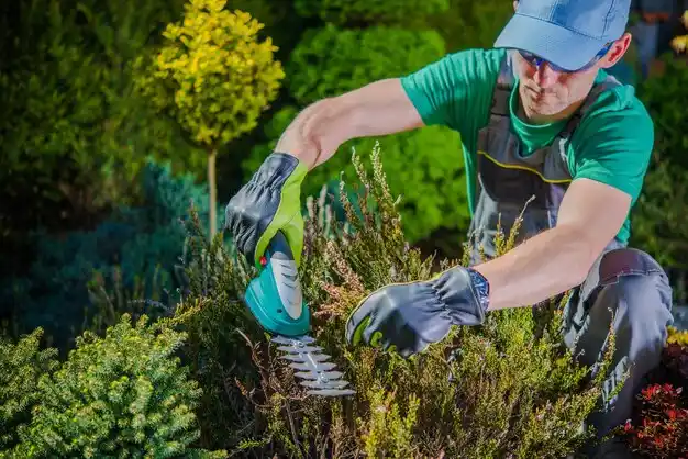 landscaping services North Perry